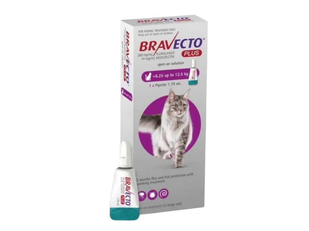 Bravecto Plus Gato