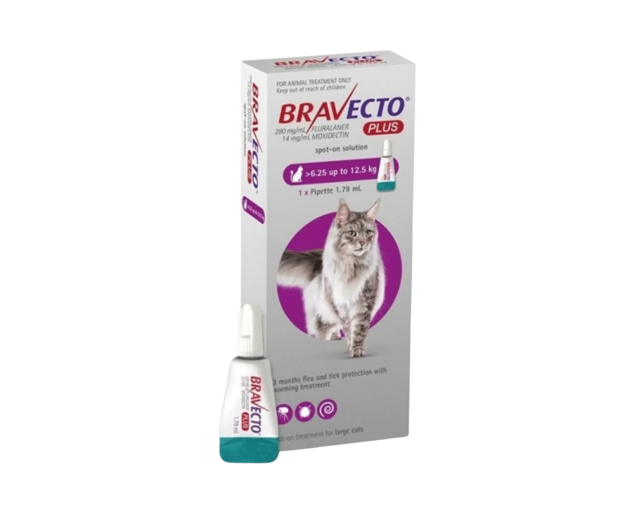 Bravecto Plus Gato