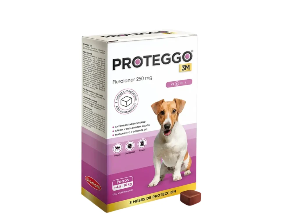 Proteggo