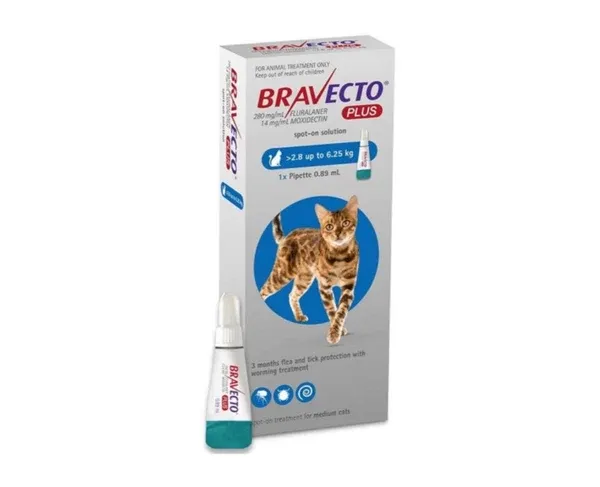 BRAV-38742_resultado