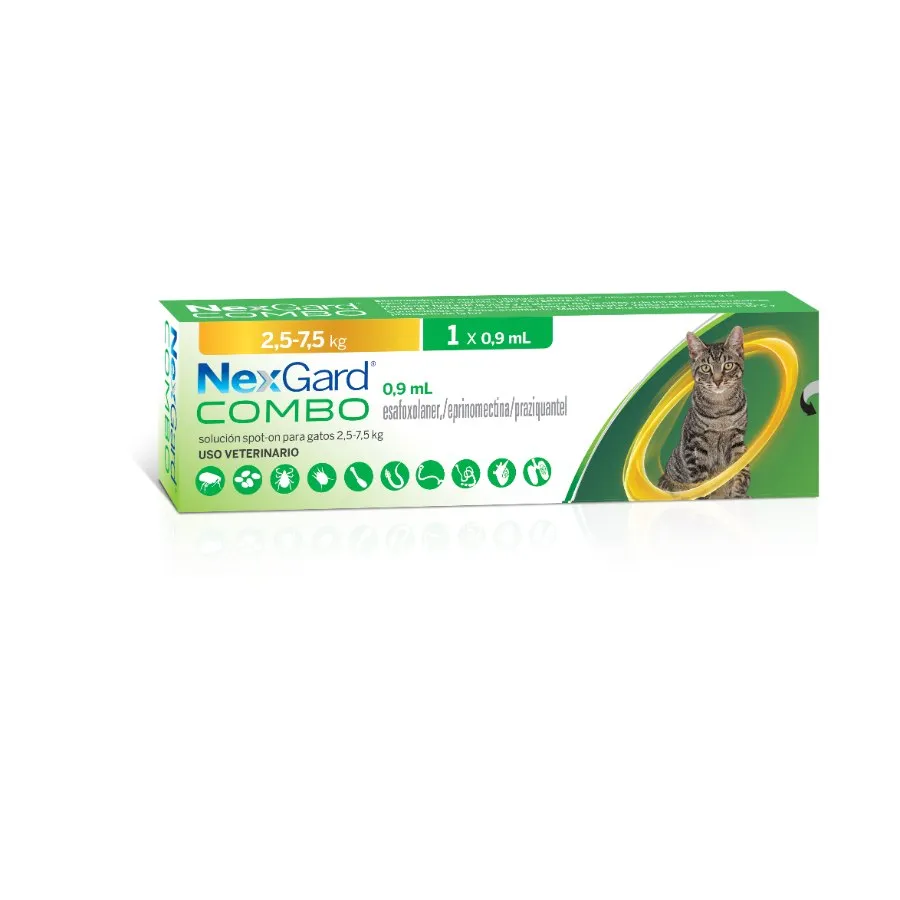 NEXG-64750_resultado