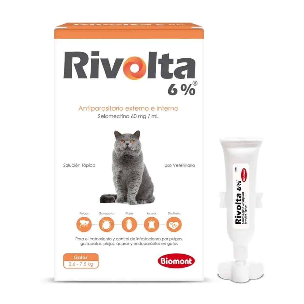 RIVO-94806_resultado