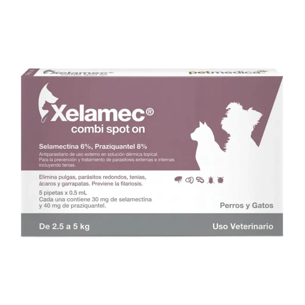 XELA-62260_resultado